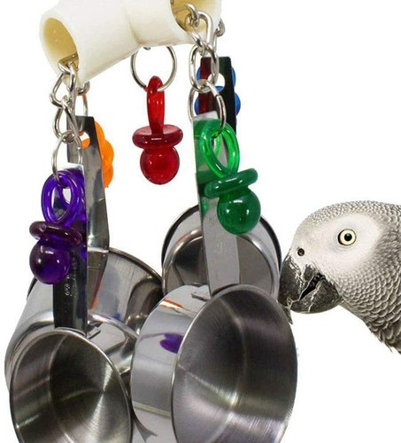 Pan clacker parrot african - clacker,