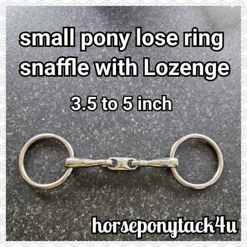 Shetland small pony loose - or,