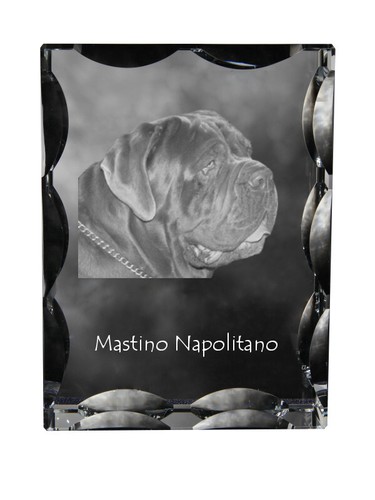 Mastino napoletano neapolitan - mastino,