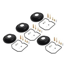 Carburetor Repair Kit