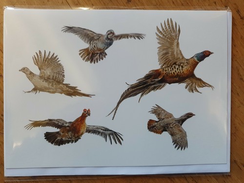 Game birds partridge - game,