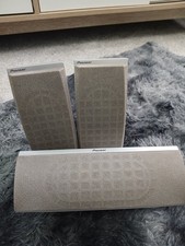 Front grey pioneer surround