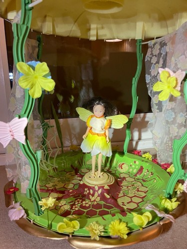 Flower fairy narcissus - -,