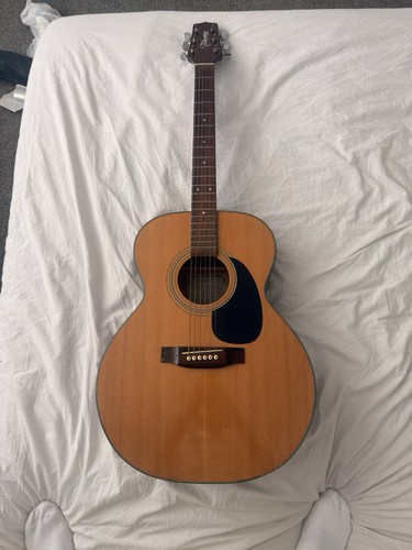 Takamine 230 acoustic - eg-230,
