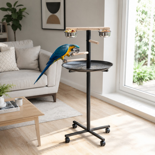 Bird perch stand - bird,