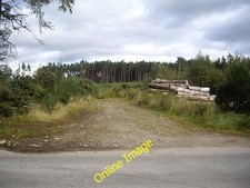 Photo 12x8 Log pile in Forest