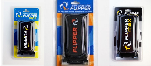 Flipper algae magnet - flipper,