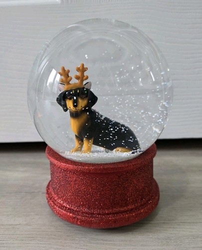 Daschund sausage dog - daschund,