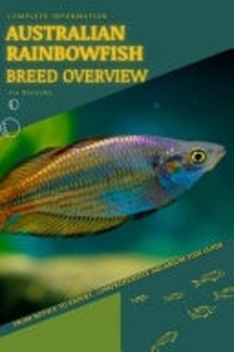 Australian rainbowfish from - australian,