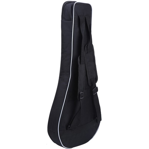 Mandolin case gig - mandolin,