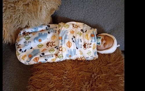 Realistic reborn boy doll - realistic,