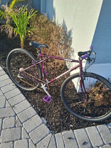 1991 arette hybrid mountain - gt,