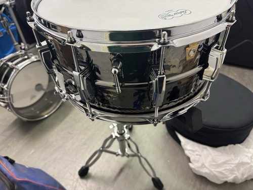 Ludwig black beauty - ludwig,
