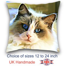 Ragdoll Cat Cushion Design