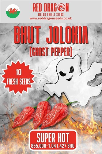 10x bhut jolokia chilli seeds - 10x,