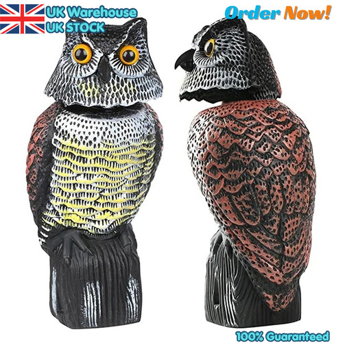 Large realistic owl decoy - owl,