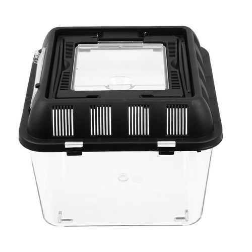 Tarantula enclosure box - tarantula,