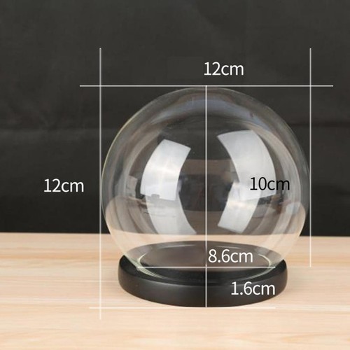 Display dome with - with, clear