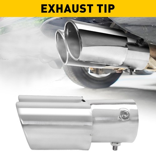 Silver dual outlet exhaust - dual, tip