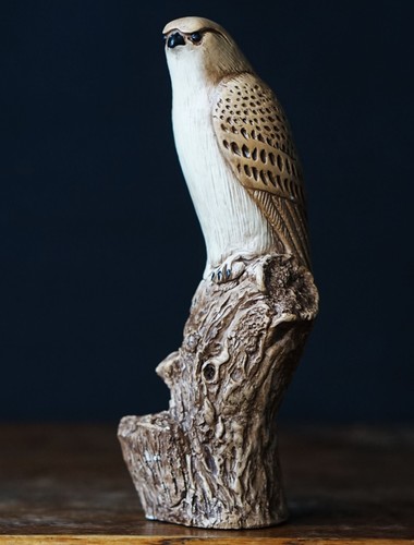 Carol craft lancs kestrel bird - carol,