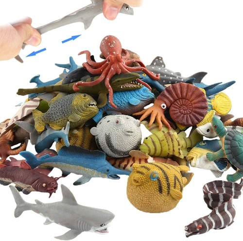 Pack assorted ocean - 18,