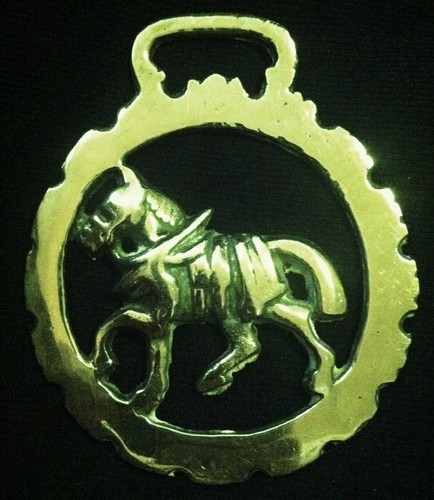 Trotting harness horse - trotting,