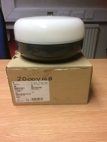 Thorn oyster 16w - 16w, 2d