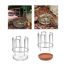 Tortoise Feeding Dish Reptile Feeder for Corn Snake Tortoise Bearded Dragon