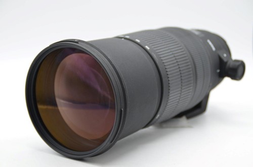 Nikon fit sigma - nikon,