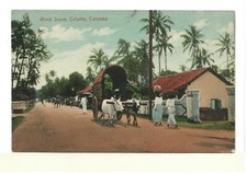 c1910 PC: Oxen Pulling Cart