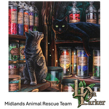 Magical Emporium Light Up LED