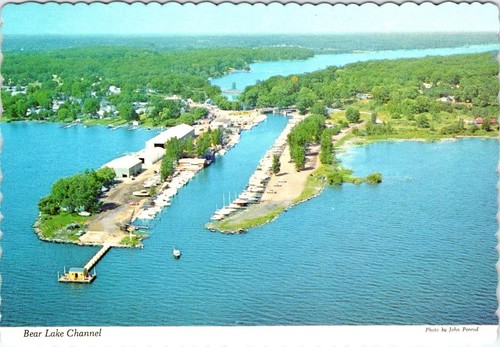 Muskegon michigan bear - muskegon,,