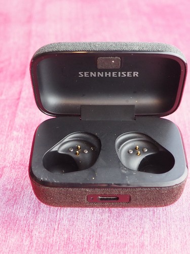 Sennheiser momentum case - 4,