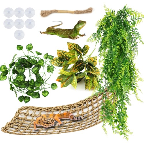 Eco friendly bearded dragon - eco-friendly,