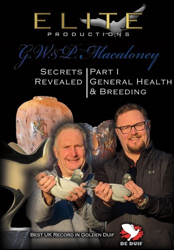 Macaloney racing - &,