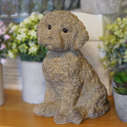 Cockapoo puppy dog natural - cockapoo,