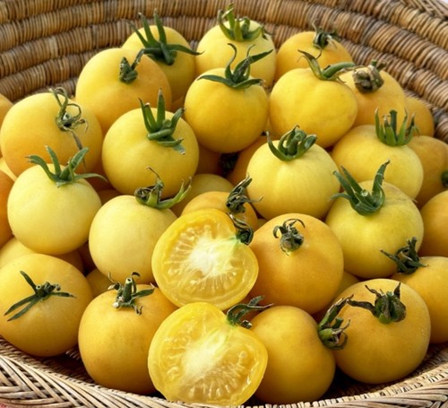 Tomato garden peach plug - garden, x