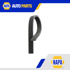 6 Rib Multi V Drive Belt fits