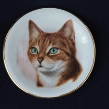 Vintage Green Eyed Tabby Cat Plate Dish Pall Mall Ware F.W.R.