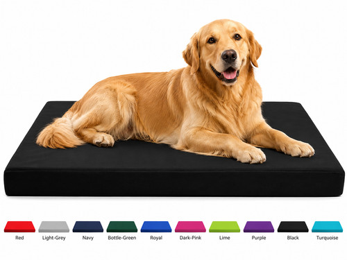 Dog cage bed - cage,