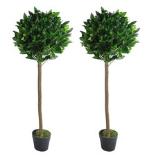 Topiary Bay Trees Pair 120cm