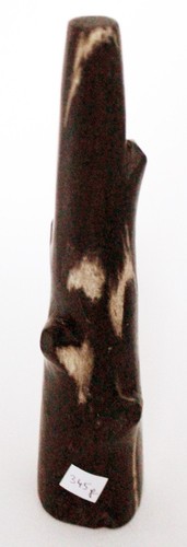 Fossil wood petrified - fossil,