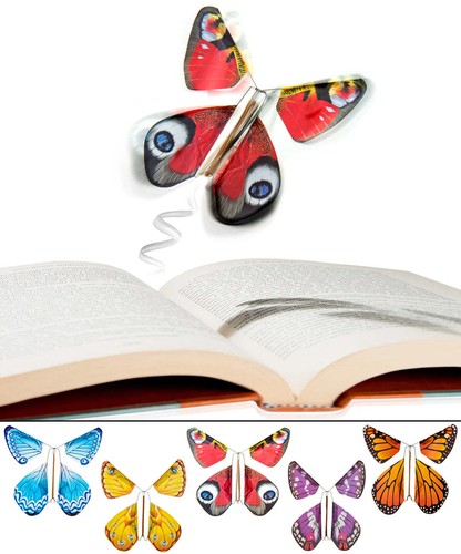 The magic butterfly - the,