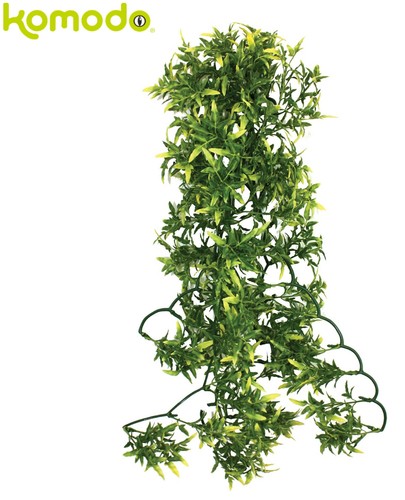 Komodo reptile croton - reptile,