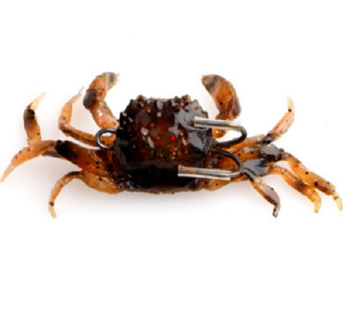 Peeler manic crab - x,
