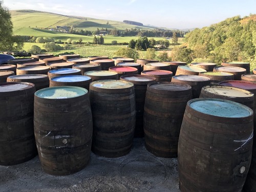 Solid oak whiskey - solid,