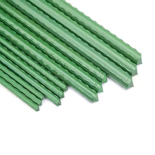 Green garden plant - x,