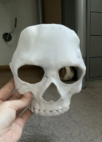 Printed ghost mask - call, of