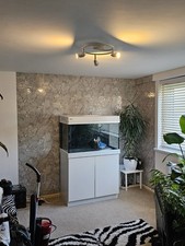 Red Sea Max 250 Gloss White