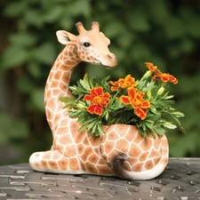 Realistic Detail & Texture Young Safari Giraffe 2 In 1 Garden Planter Statue